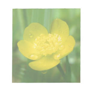 Appalachian Buttercup Notepad