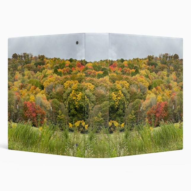 Appalachian Fall Trees Colours Photo Binder (Background)