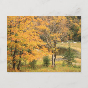 Appalachian Gap Pond Vermont Postcard