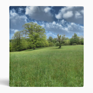 Appalachian Green Binder