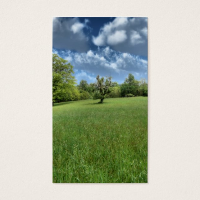 Appalachian Green Bookmarks (Front)