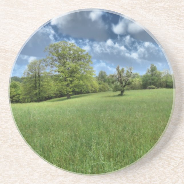 Appalachian Green Coaster (Front)