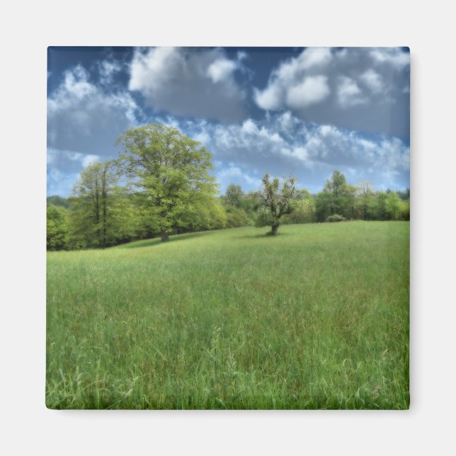 Appalachian Green Magnet (Front)