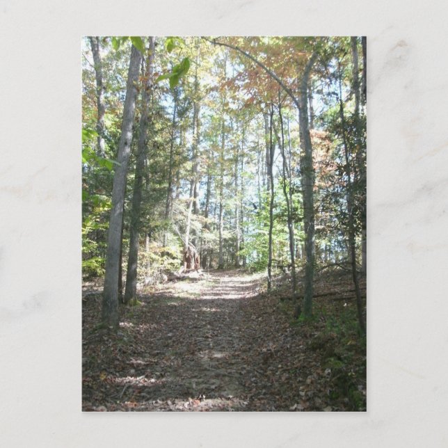 Appalachian Hiking Trail Postcard (Front)