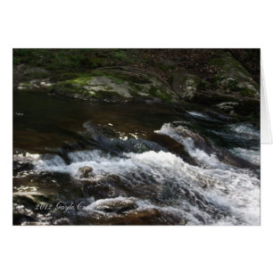 Appalachian mountain creek