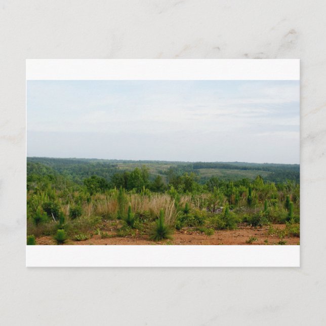 Appalachian Mountain Foothills Postcard (Front)