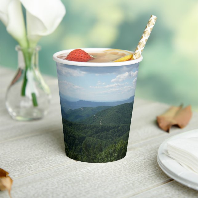 Appalachian Mountains I Shenandoah Paper Cups (Insitu)