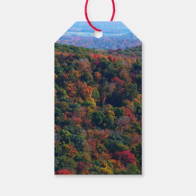 Appalachian Mountains in Fall Gift Tags (Front)