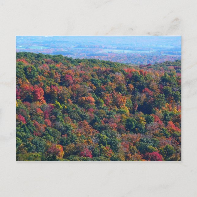 Appalachian Mountains in Fall Postcard (Front)