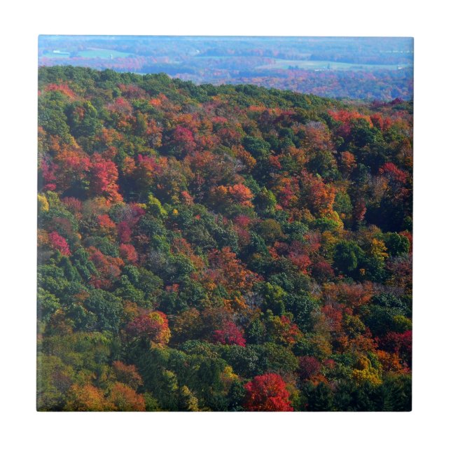 Appalachian Mountains in Fall Tile (Front)
