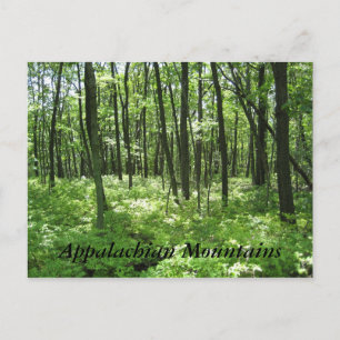 Appalachian Mountains Postcard