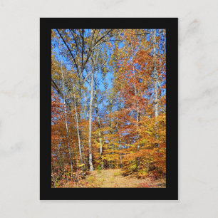 Appalachian Trail Autumn, Fall Scenery Postcard