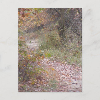 appalachian trail fall pennsylvania postcard