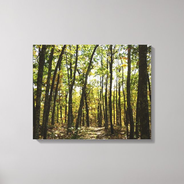 Appalachian Trail in October at Shenandoah Canvas Print (Front)