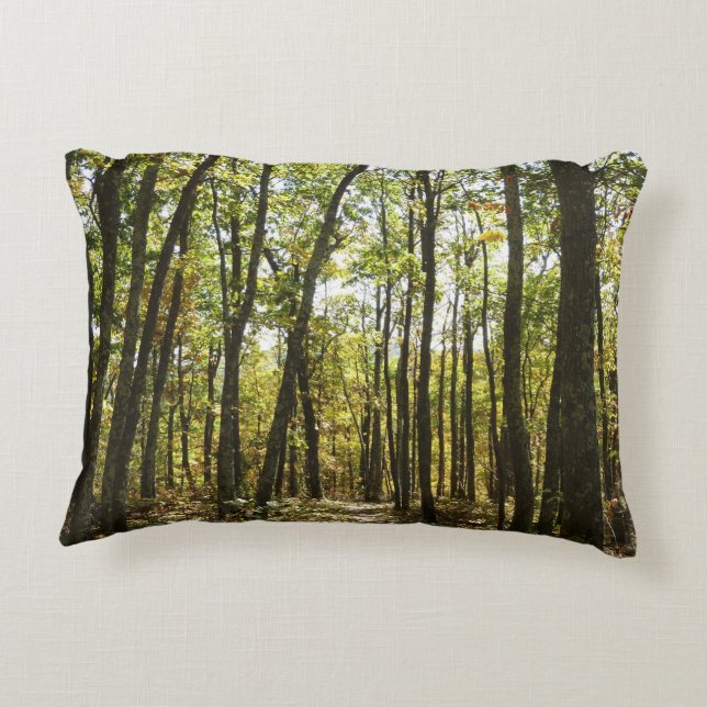 Appalachian Trail in October at Shenandoah Decorative Pillow (Back)