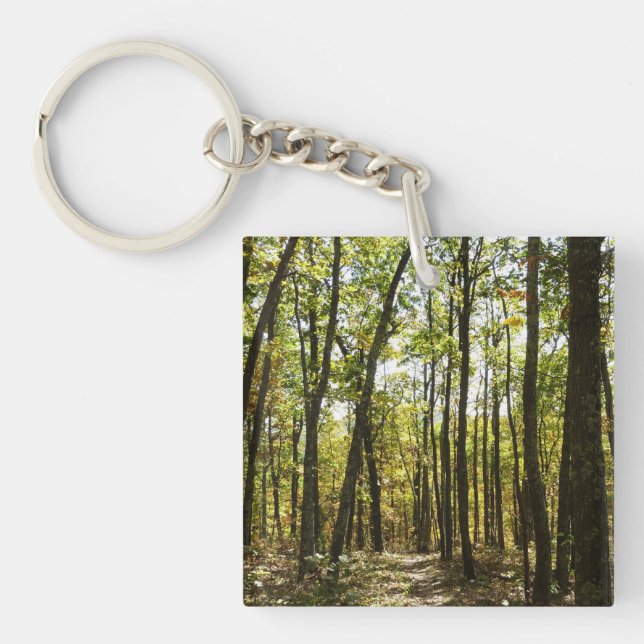 Appalachian Trail in October at Shenandoah Keychain (Front)