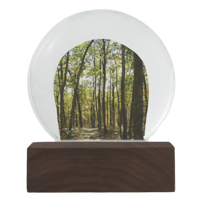 Appalachian Trail in October at Shenandoah Snow Globe (Front)