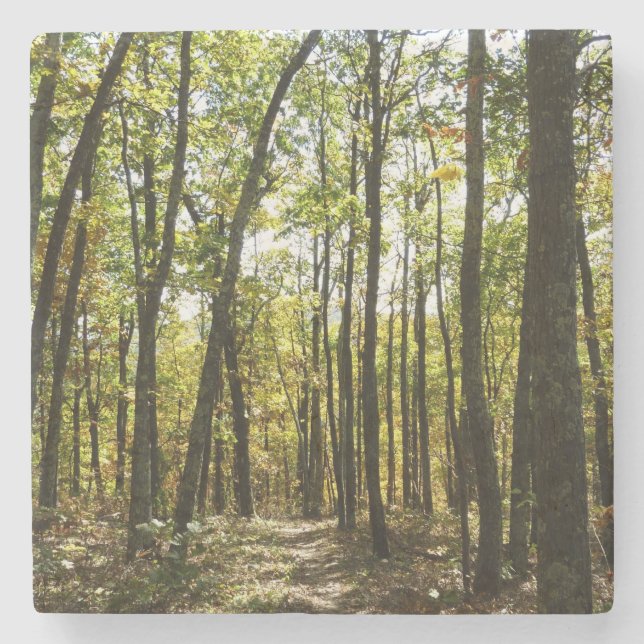 Appalachian Trail in October at Shenandoah Stone Coaster (Front)