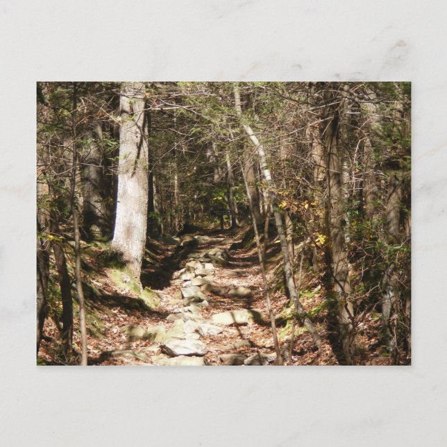 appalachian trail pennsylvania postcard (Front)