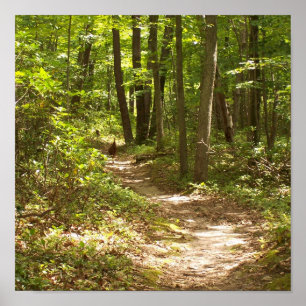 appalachian trail wild turkeys poster