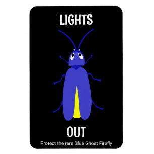 Appalacian Lightning Bug Magnet