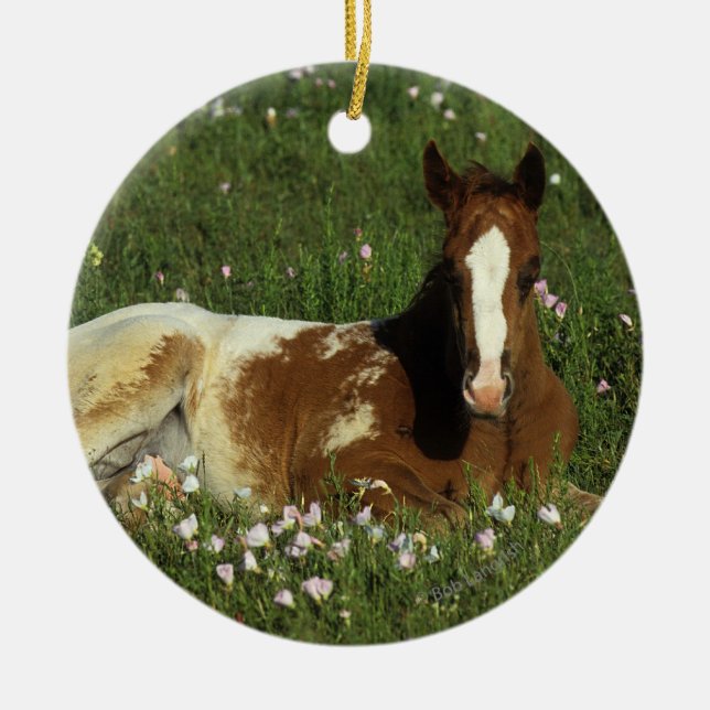 Appaloosa Foal Laying Down in Flowers Ceramic Ornament (Front)