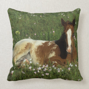 Appaloosa Foal Laying Down in Flowers Throw Pillow