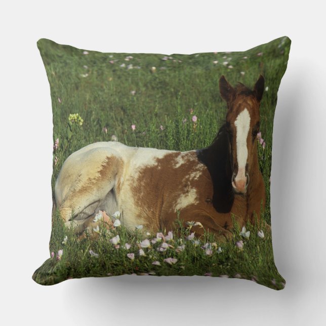 Appaloosa Foal Laying Down in Flowers Throw Pillow (Front)