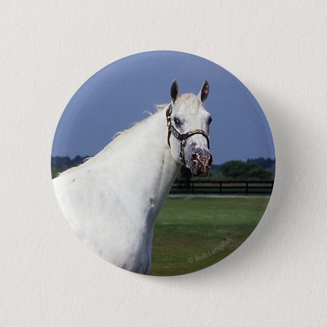 Appaloosa Horse 2 Inch Round Button (Front)