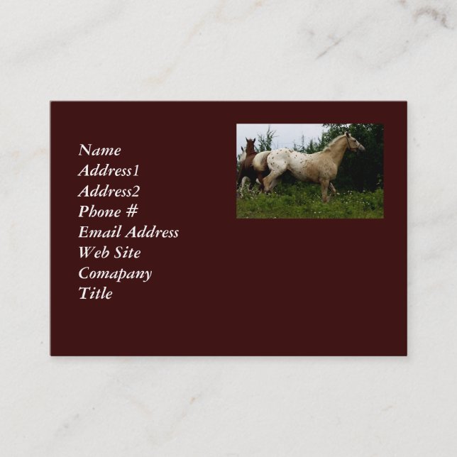 Appaloosa Horse Carte de visite (Devant)