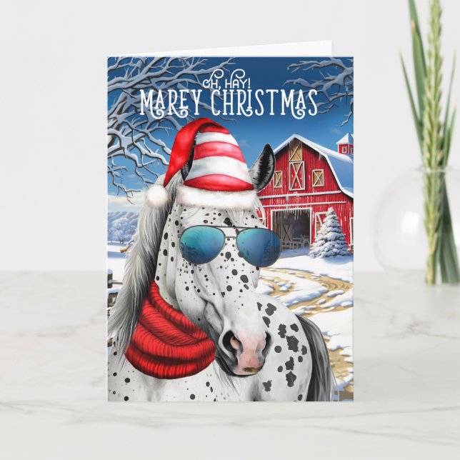 Appaloosa Horse Funny MAREy Christmas Holiday Card (Front)