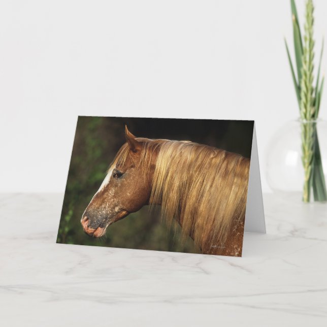 Appaloosa Horse Headshot 1 Card (Front)