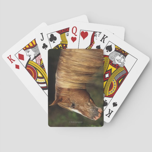 Appaloosa Horse Headshot 1 Playing Cards (Back)