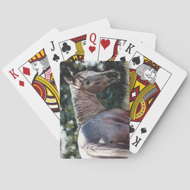 Appaloosa horse in a field playing cards (Back)
