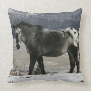 Appaloosa Horse in the Snow Throw Pillow