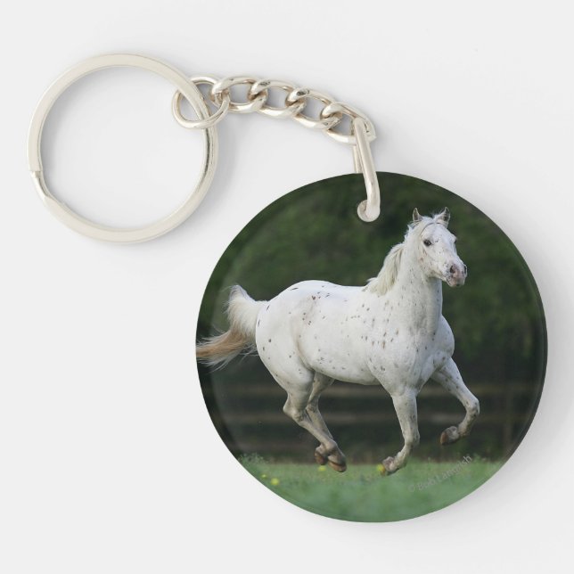 Appaloosa Horse Running 1 Keychain (Front)