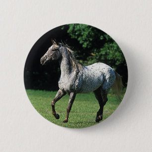 Appaloosa Horse Running 2 Inch Round Button