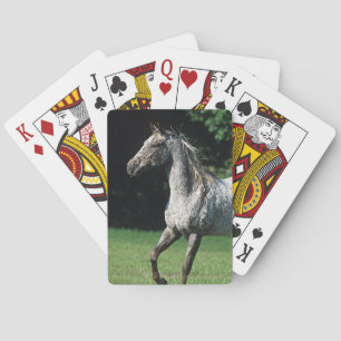 Appaloosa Horse Running 2 Playing Cards