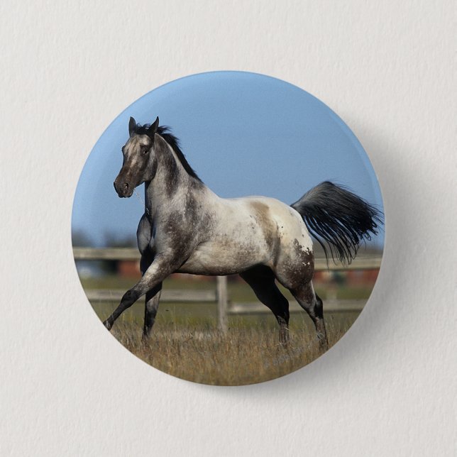 Appaloosa Horse Running 3 2 Inch Round Button (Front)