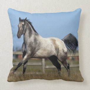 Appaloosa Horse Running 3 Throw Pillow