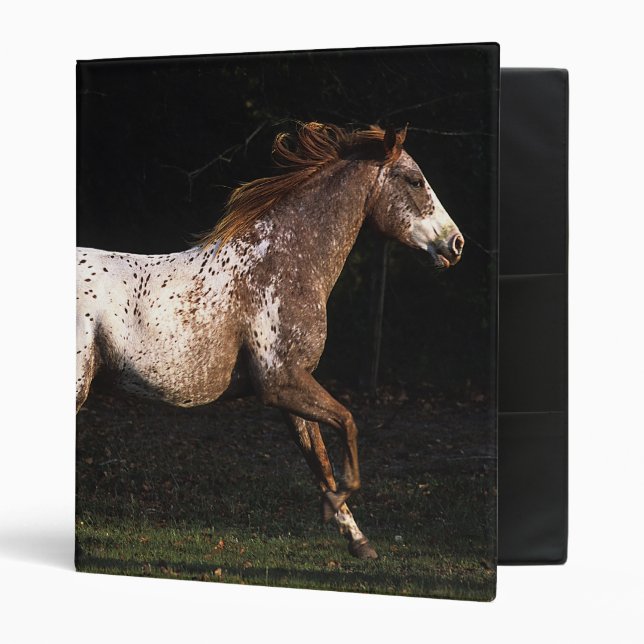 Appaloosa Horse Running 4 Binder (Front/Inside)