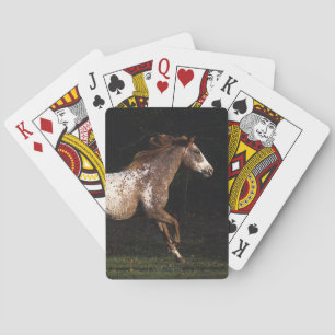 Appaloosa Horse Running 4 Playing Cards
