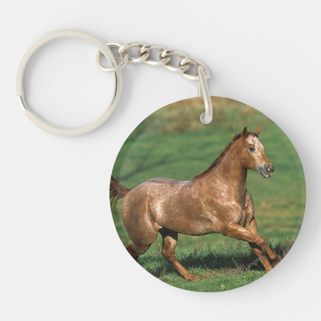 Appaloosa Horse Running in Grassy Field Keychain (Front)