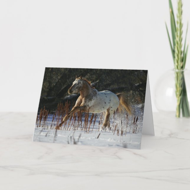 Appaloosa Horse Running in the Snow Card (Front)