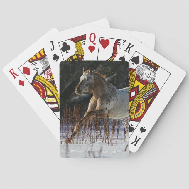Appaloosa Horse Running in the Snow Playing Cards (Back)