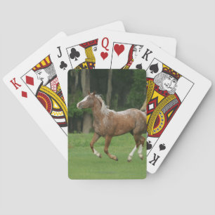 Appaloosa Horse Running Playing Cards