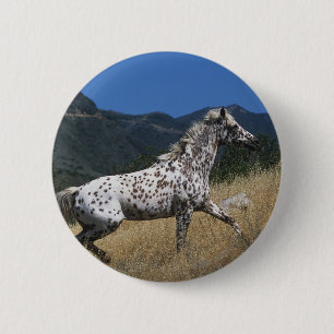 Appaloosa Horse Running up Mountain 2 Inch Round Button
