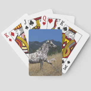 Appaloosa Horse Running up Mountain Playing Cards