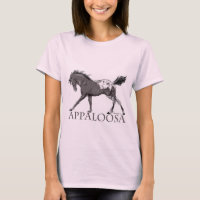 Appaloosa Horse