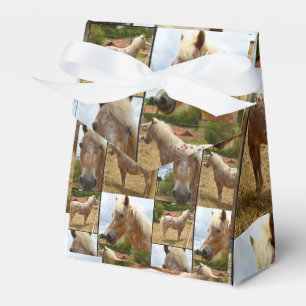 Appaloosa Horses Photo Collage, Gift Favor Box